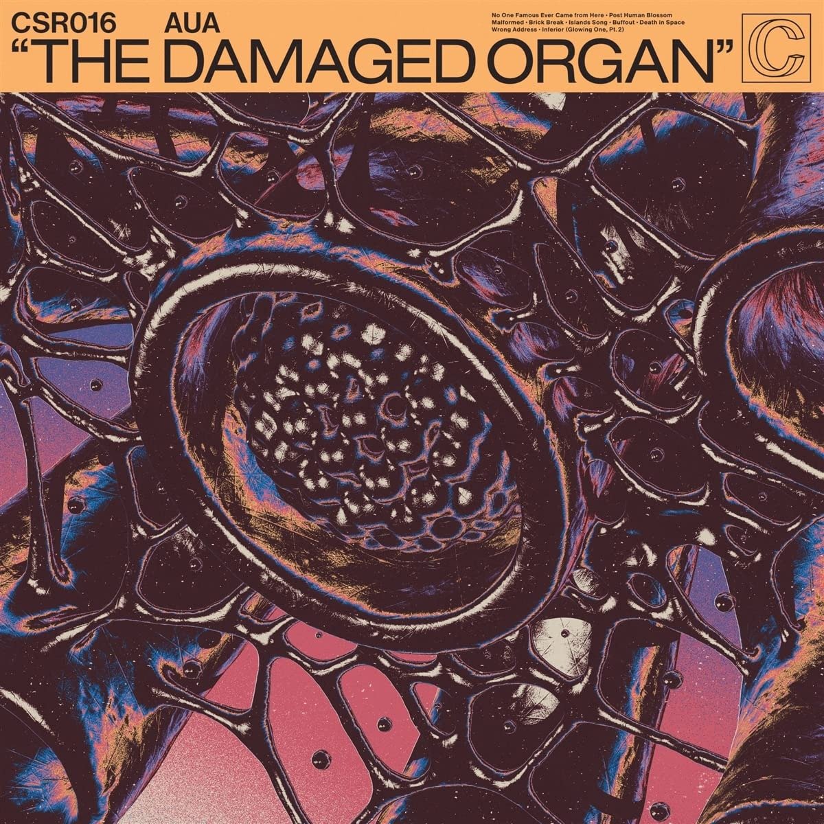 CD Shop - AUA DAMAGED ORGAN