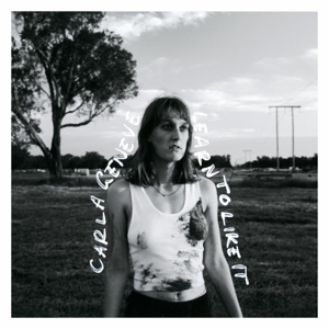 CD Shop - CARLA GENEVE LEARN TO LIKE IT