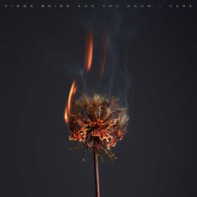 CD Shop - FIONA BRICE AND YOU KNOW I CARE