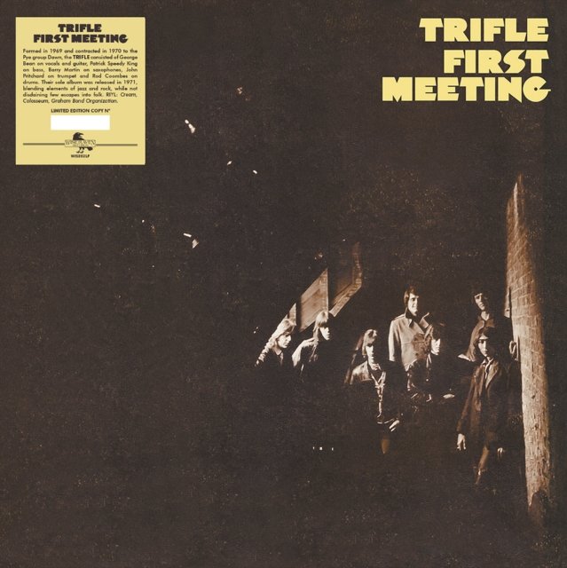CD Shop - TRIFLE FIRST MEETING