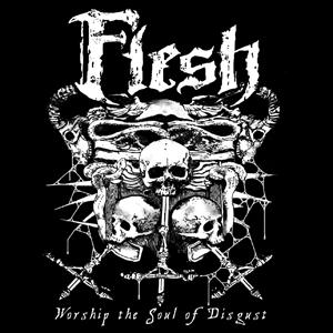 CD Shop - FLESH WORSHIP THE SOUL OF DISGUST