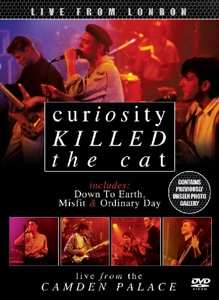 CD Shop - CURIOSITY KILLED THE CAT LIVE FROM LONDON