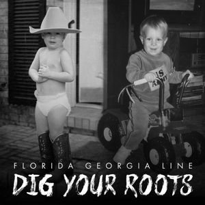 CD Shop - FLORIDA GEORGIA LINE DIG YOUR ROOTS