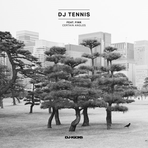 CD Shop - DJ TENNIS CERTAIN ANGLES
