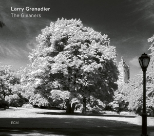 CD Shop - GRENADIER, LARRY GLEANERS