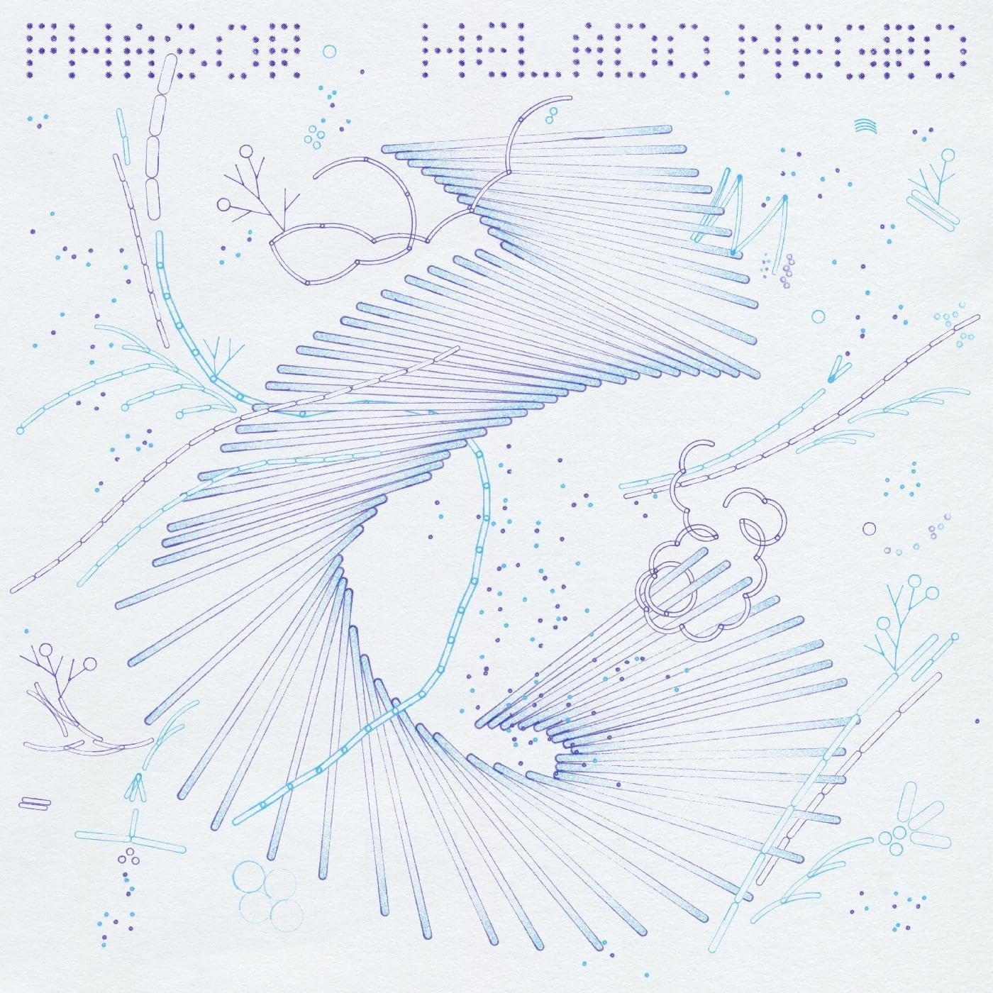 CD Shop - HELADO NEGRO PHASOR