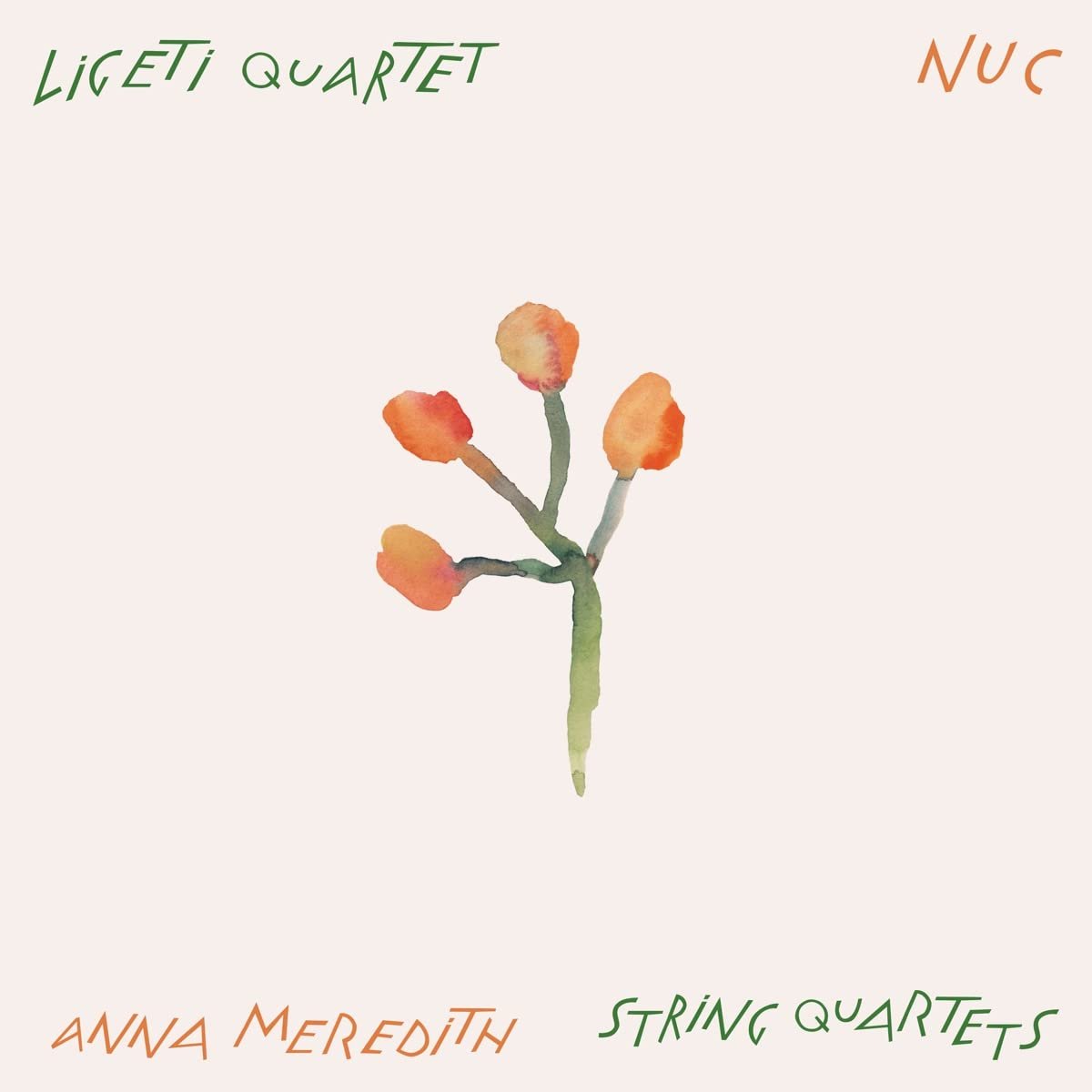 CD Shop - LIGETI QUARTET / ANNA MER NUC
