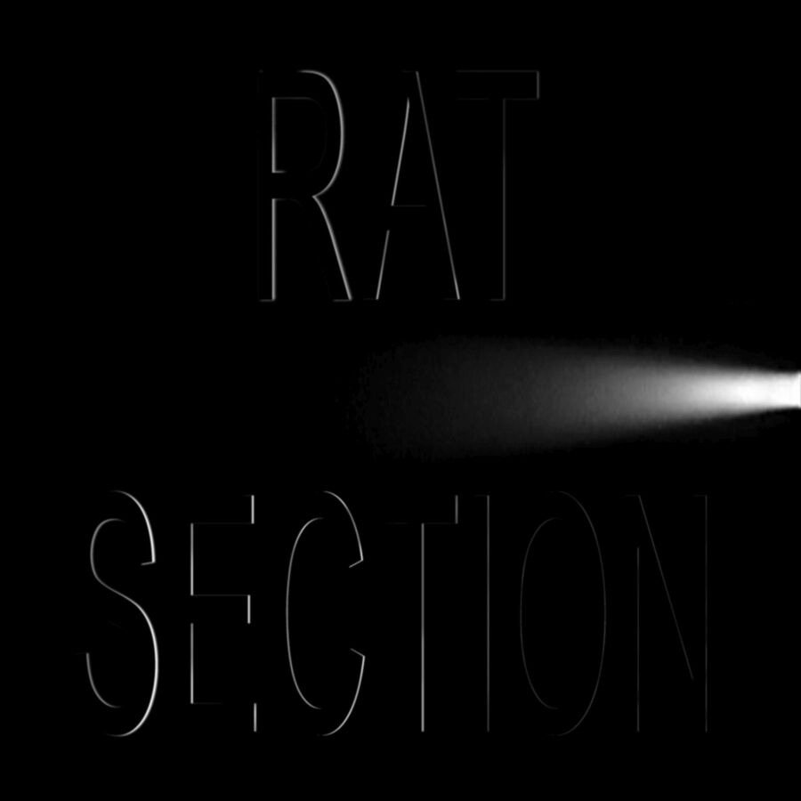 CD Shop - RAT SECTION WHAT STAYS IN VEGAS