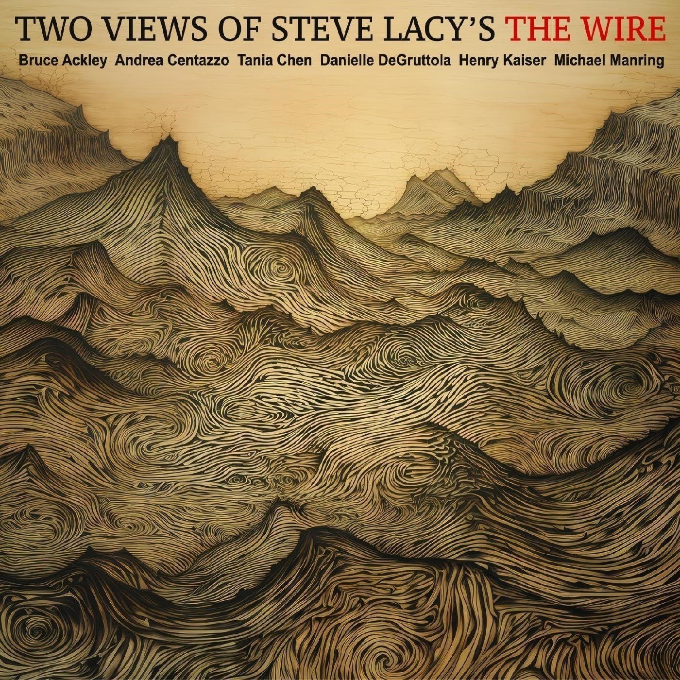 CD Shop - ACKLEY, BRUCE & ANDREA... TWO VIEWS OF STEVE LACYS THE WIRE