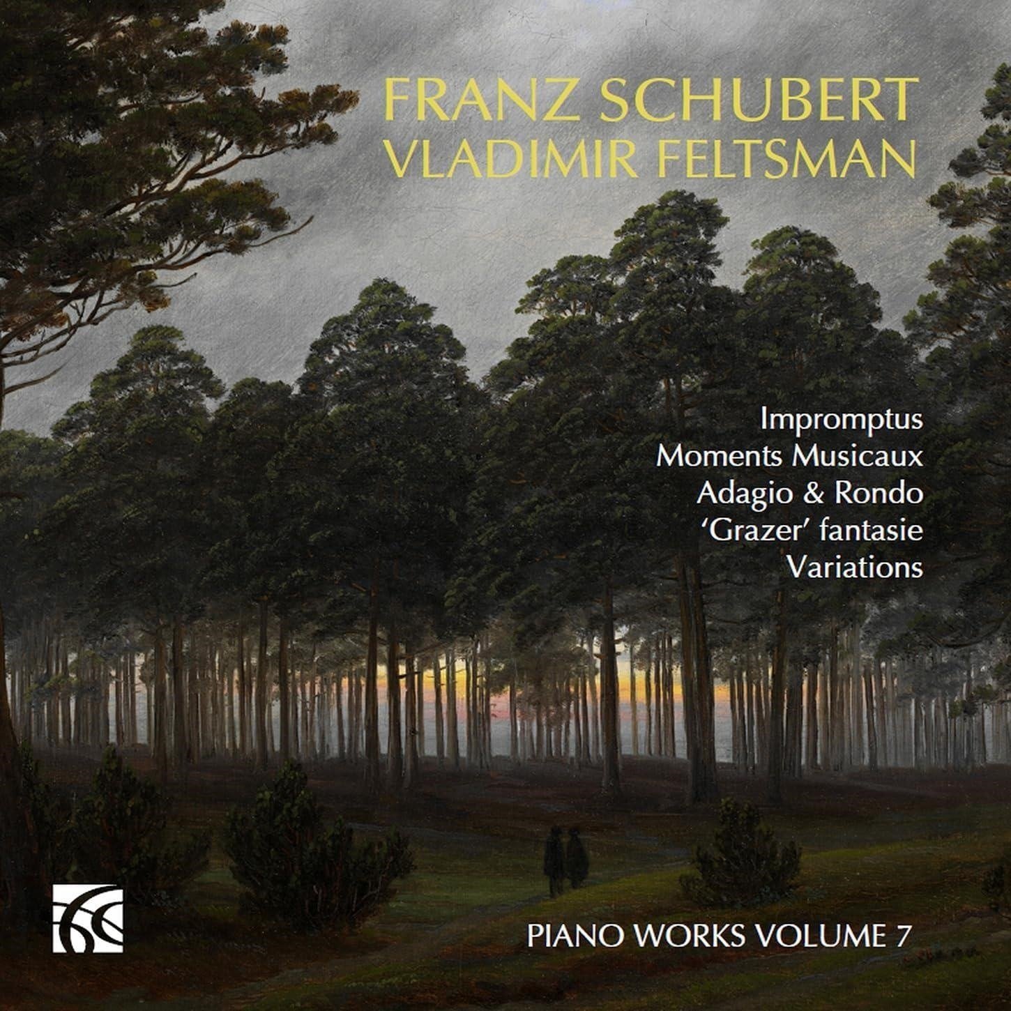 CD Shop - FELTSMAN, VLADIMIR SCHUBERT: PIANO MUSIC