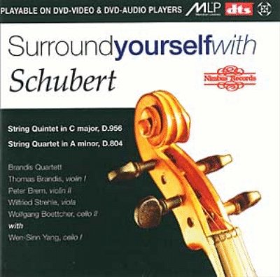 CD Shop - SCHUBERT, FRANZ STRING QUARTETS D956-DVDA