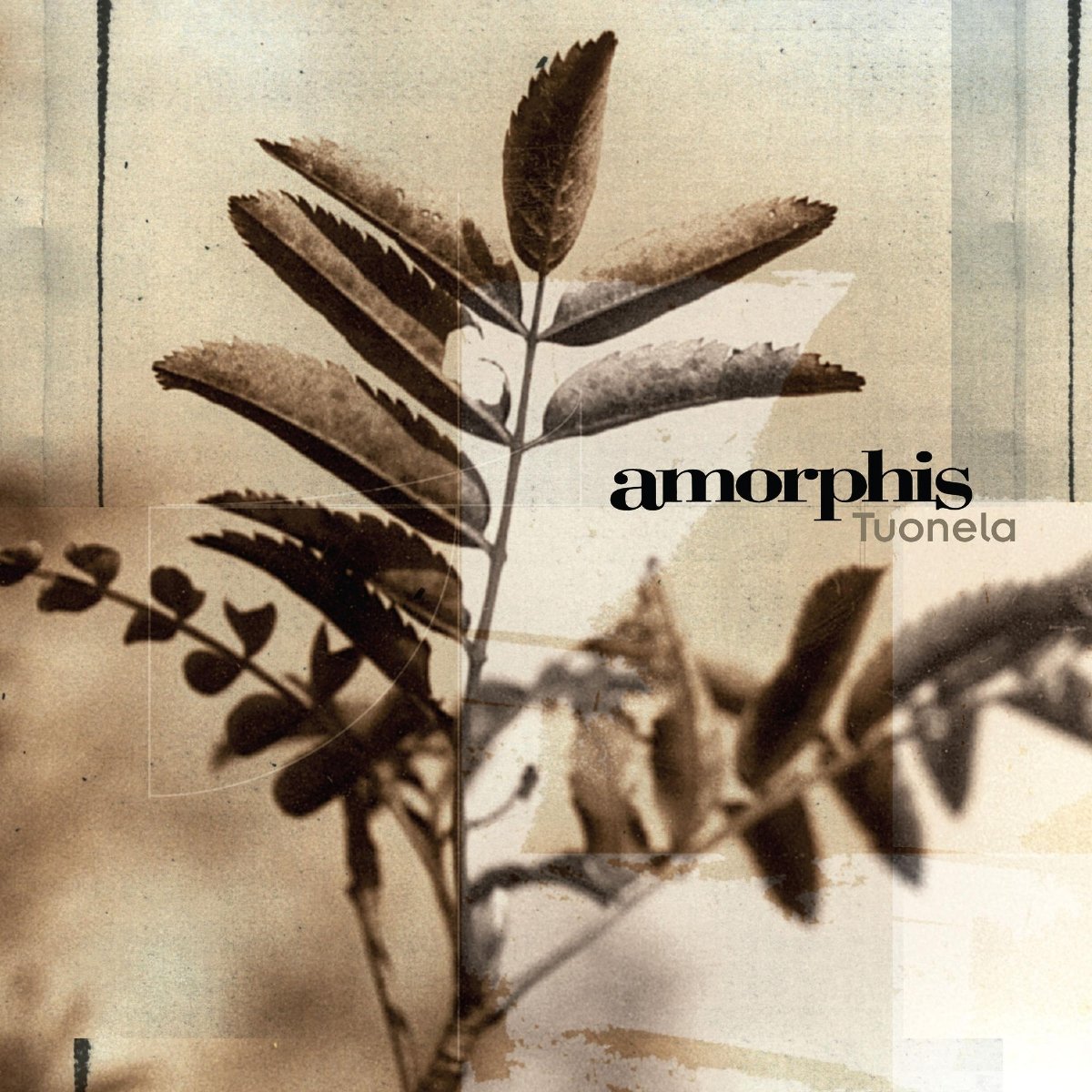 CD Shop - AMORPHIS TUONELA BLACK GOLD LTD.