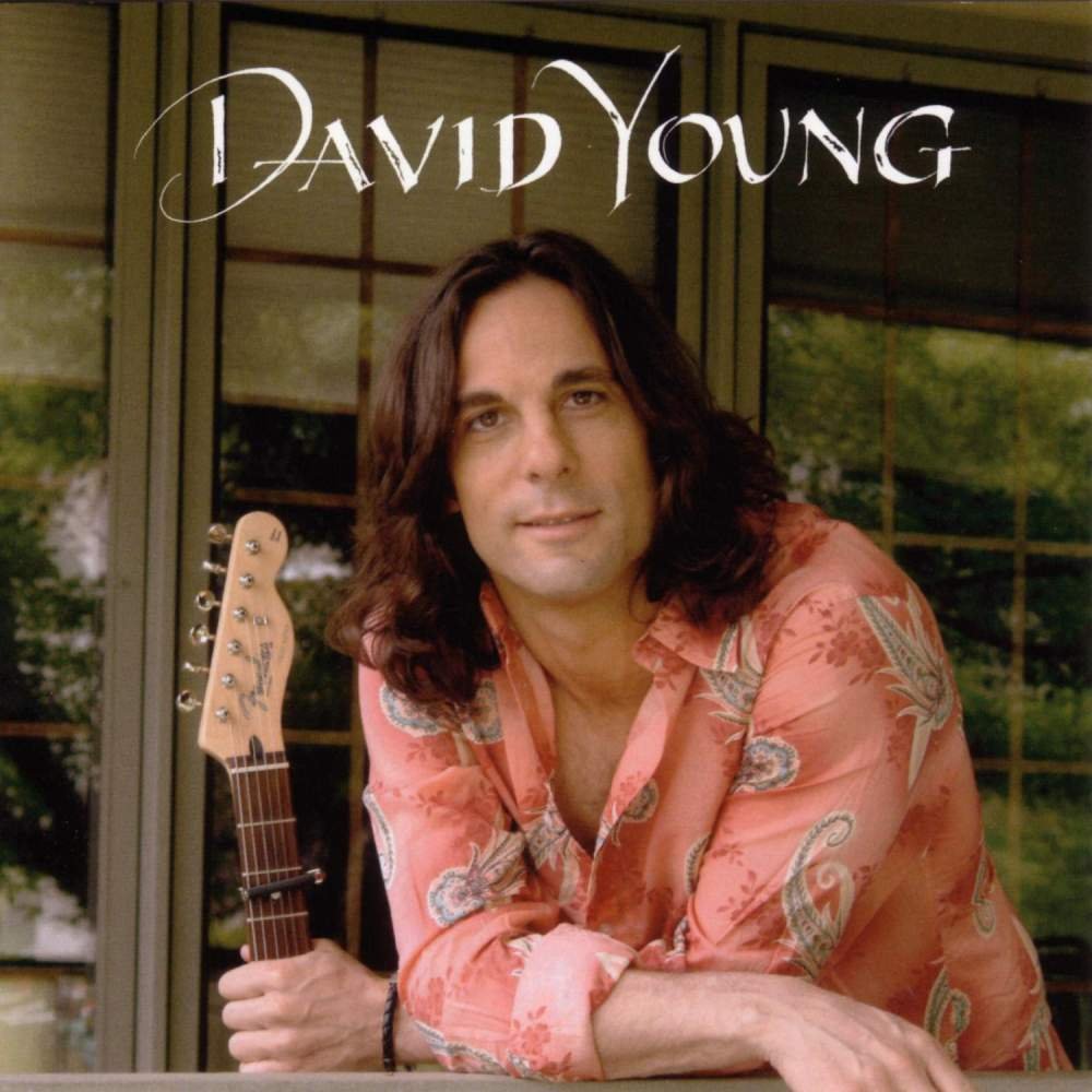 CD Shop - YOUNG, DAVID DAVID YOUNG