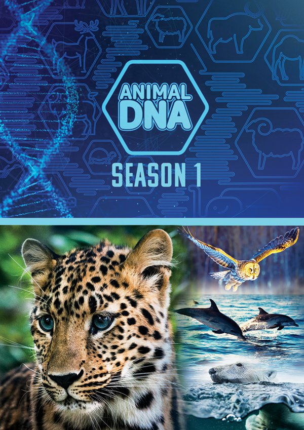 CD Shop - DOCUMENTARY ANIMAL DNA: SEASON ONE