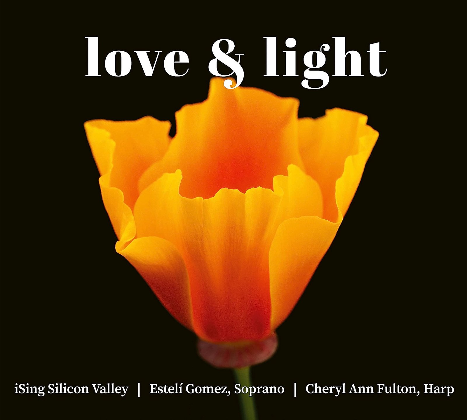 CD Shop - ISING SILICON VALLEY/DELP LOVE & LIGHT