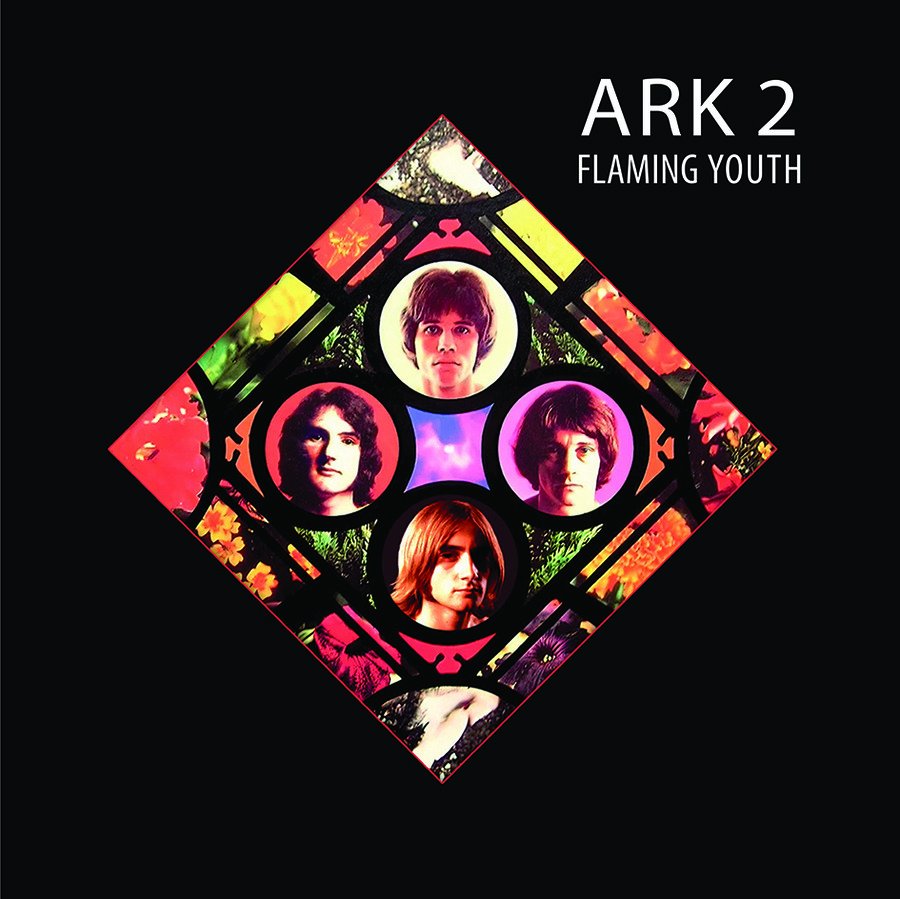 CD Shop - FLAMING YOUTH ARK 2