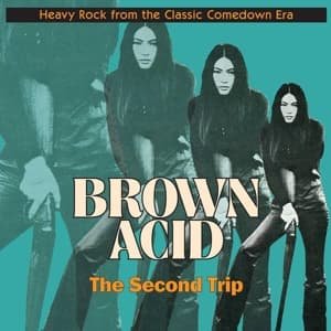 CD Shop - V/A BROWN ACID: THE SECOND TRIP