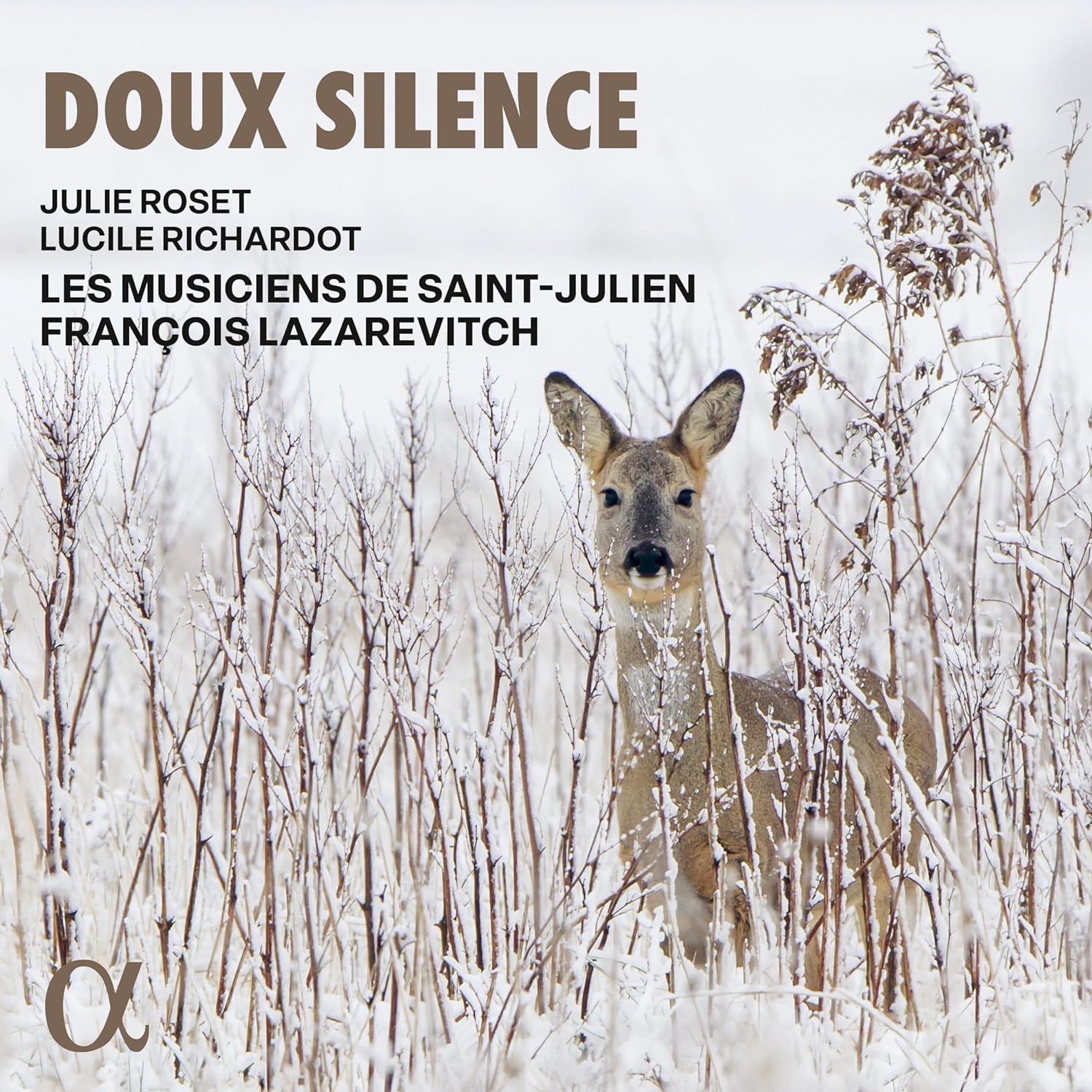 CD Shop - LES MUSICIENS DE SAINT... DOUX SILENCE