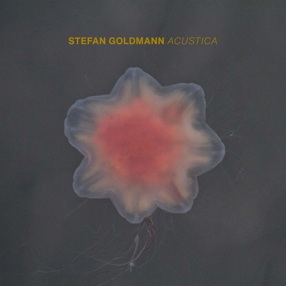 CD Shop - GOLDMANN, STEFAN ACUSTICA