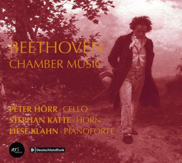 CD Shop - HORR, PETER BEETHOVEN: CHAMBER MUSIC