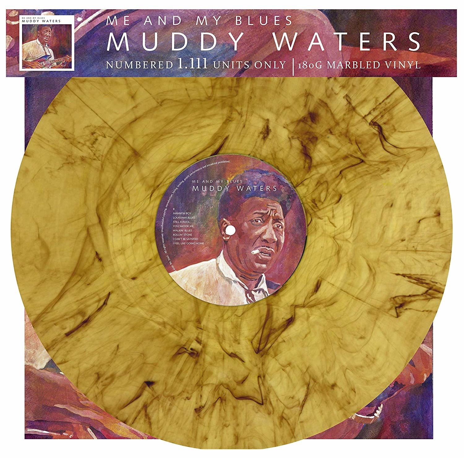 CD Shop - WATERS MUDDY ME AND MY BLUES