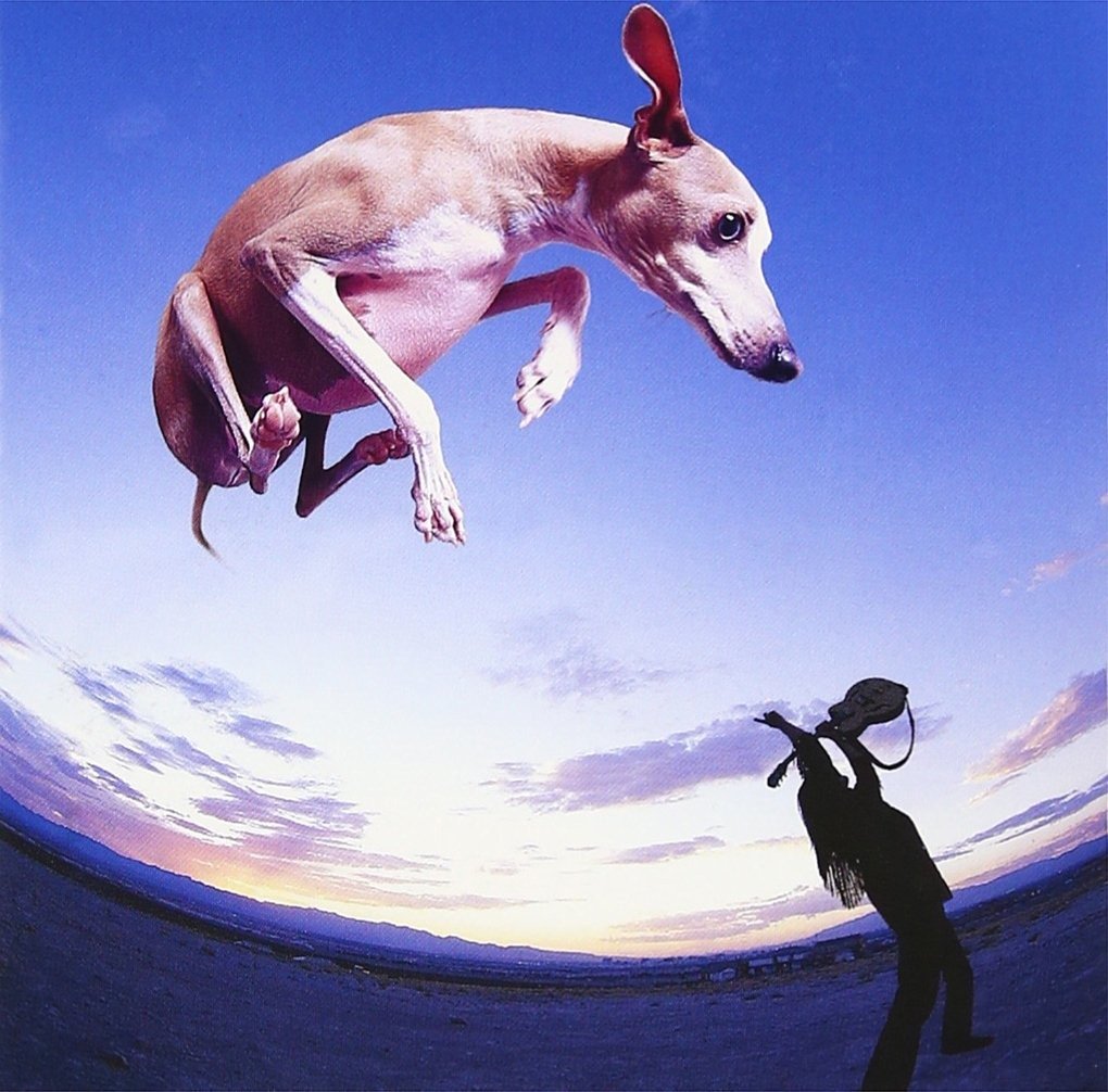 CD Shop - GILBERT, PAUL FLYING DOG