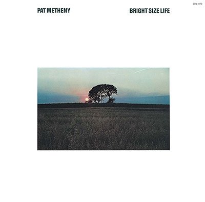 CD Shop - METHENY, PAT Bright Size Life