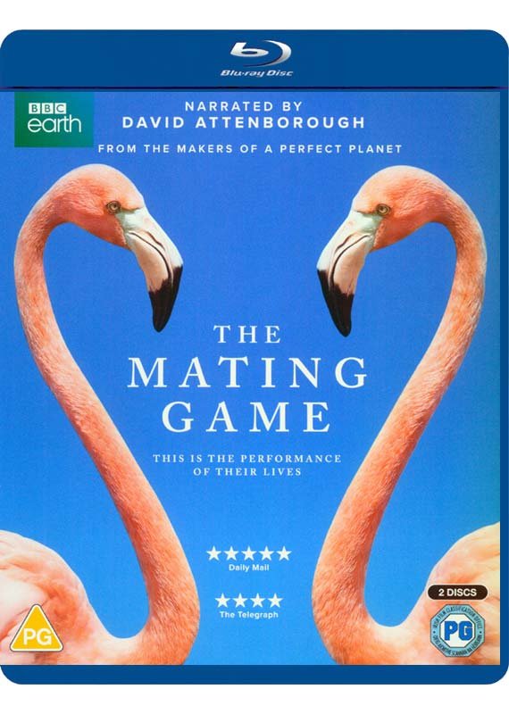 CD Shop - DOCUMENTARY MATING GAME