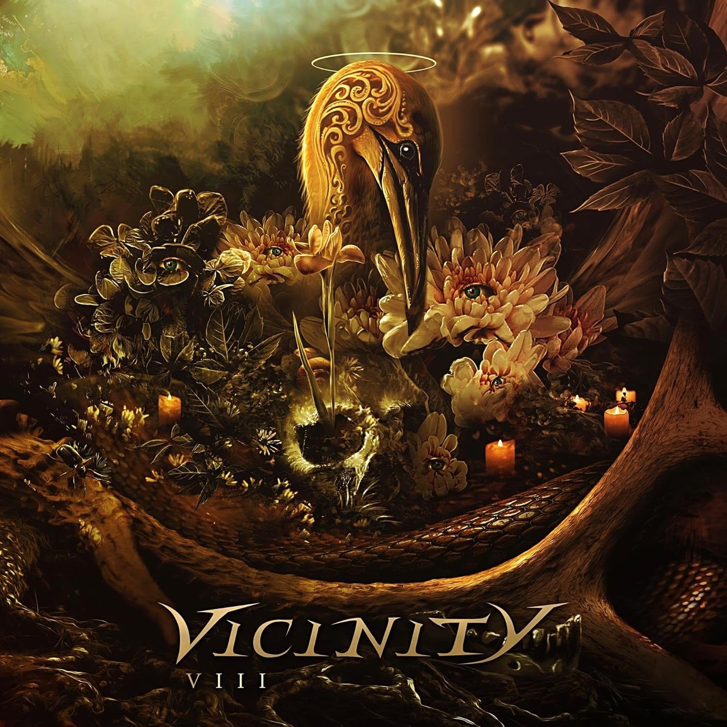 CD Shop - VICINITY VIII