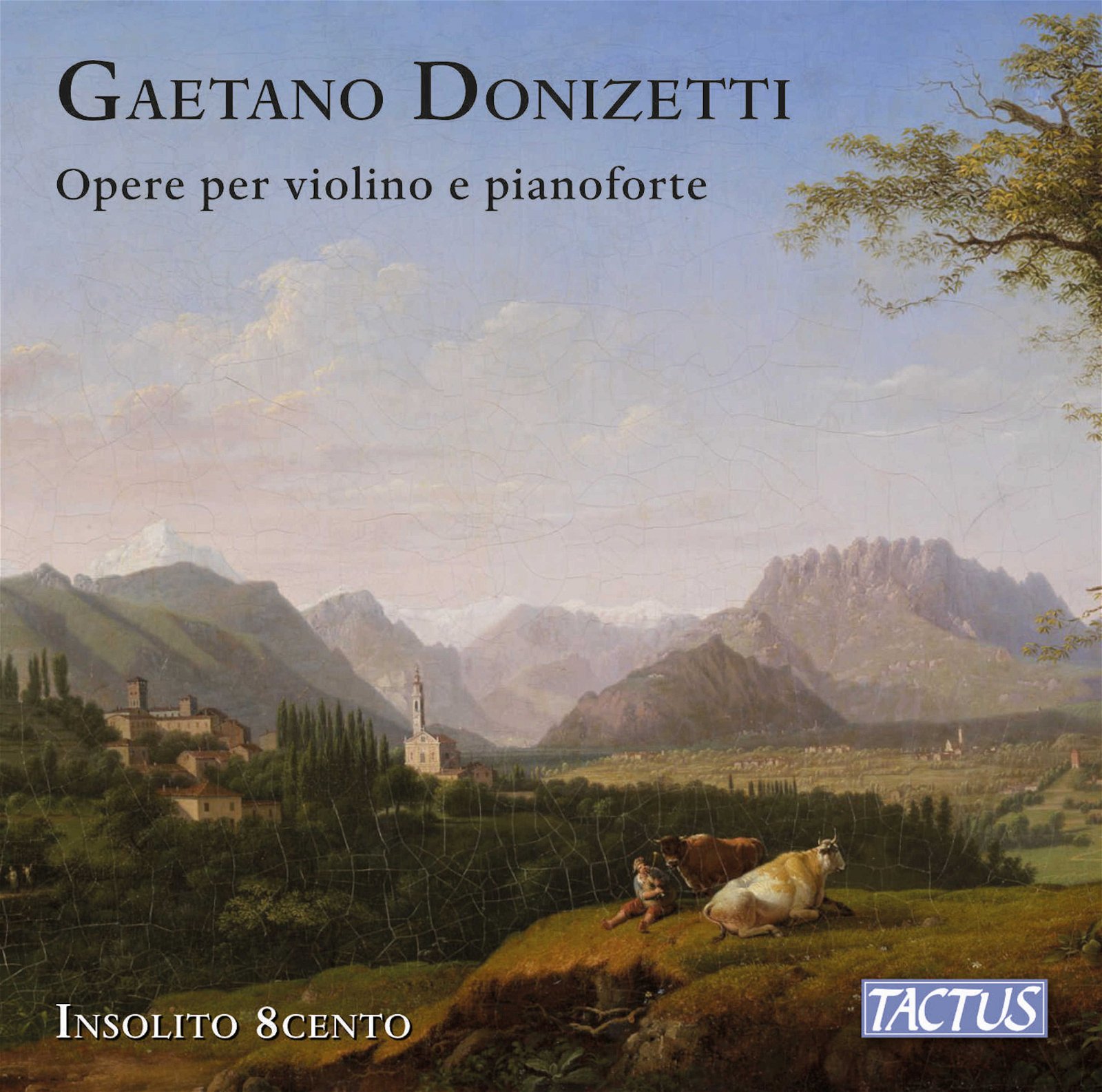 CD Shop - INSOLITO 8CENTO DONIZETTI: WORKS FOR VIOLIN & PIANO