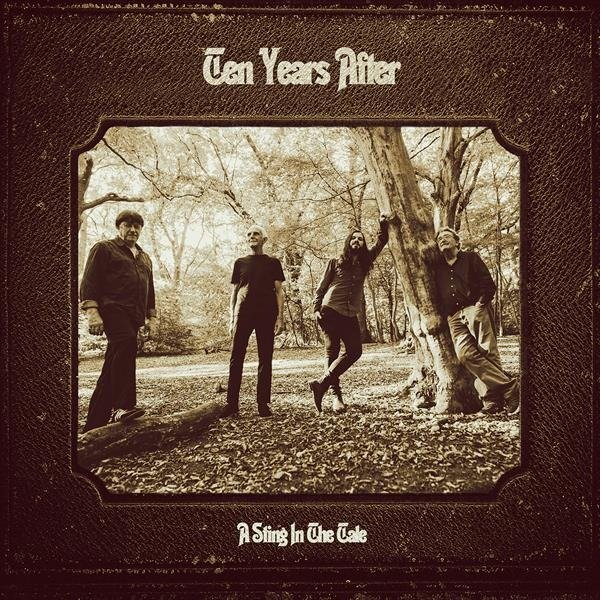 CD Shop - TEN YEARS AFTER A STING IN THE TALE