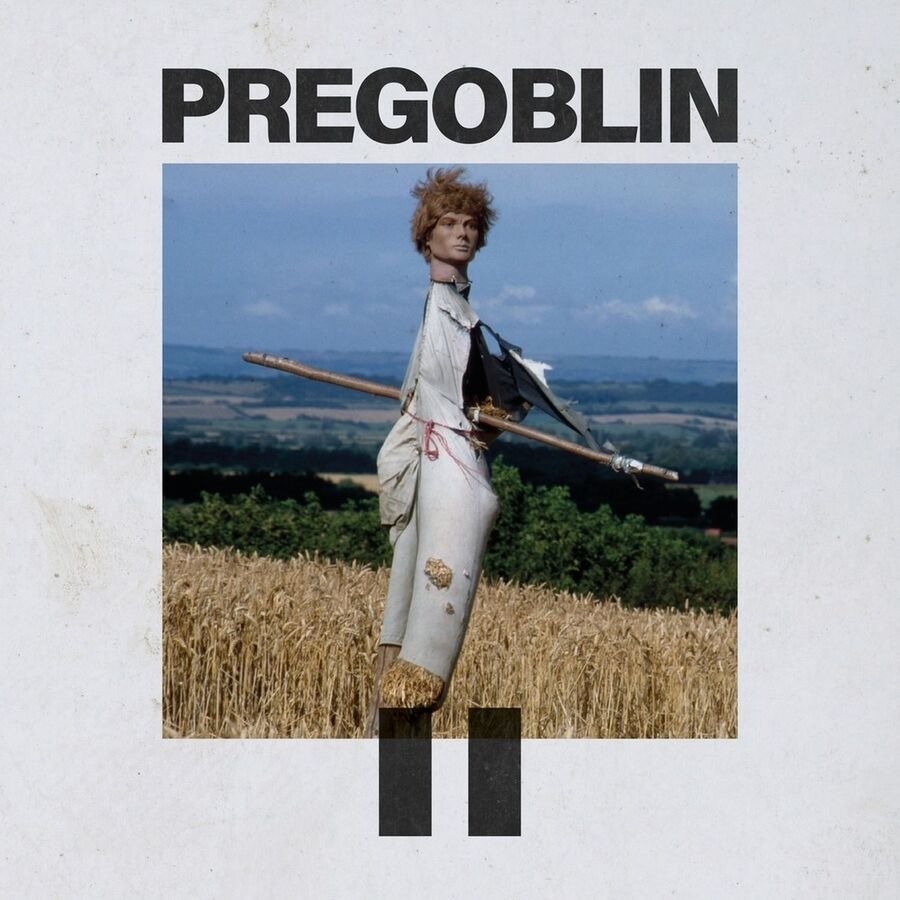 CD Shop - PREGOBLIN PREGOBLIN II