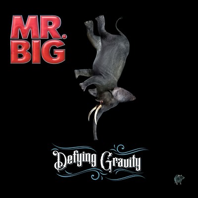 CD Shop - MR.BIG DEFYING GRAVITY LTD.
