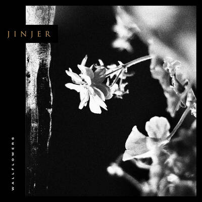 CD Shop - JINJER WALLFLOWERS