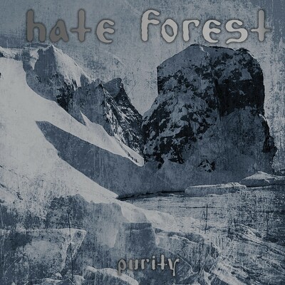 CD Shop - HATE FOREST PURITY