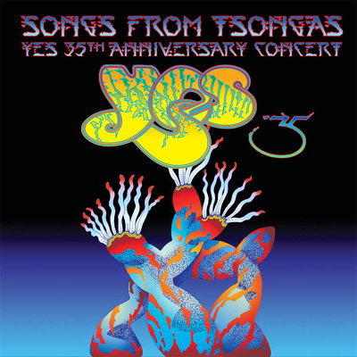 CD Shop - YES SONGS FROM TSONGAS