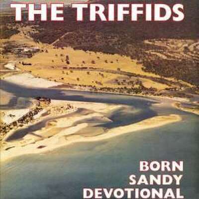 CD Shop - TRIFFIDS, THE BORN SANDY DEVOTIONAL
