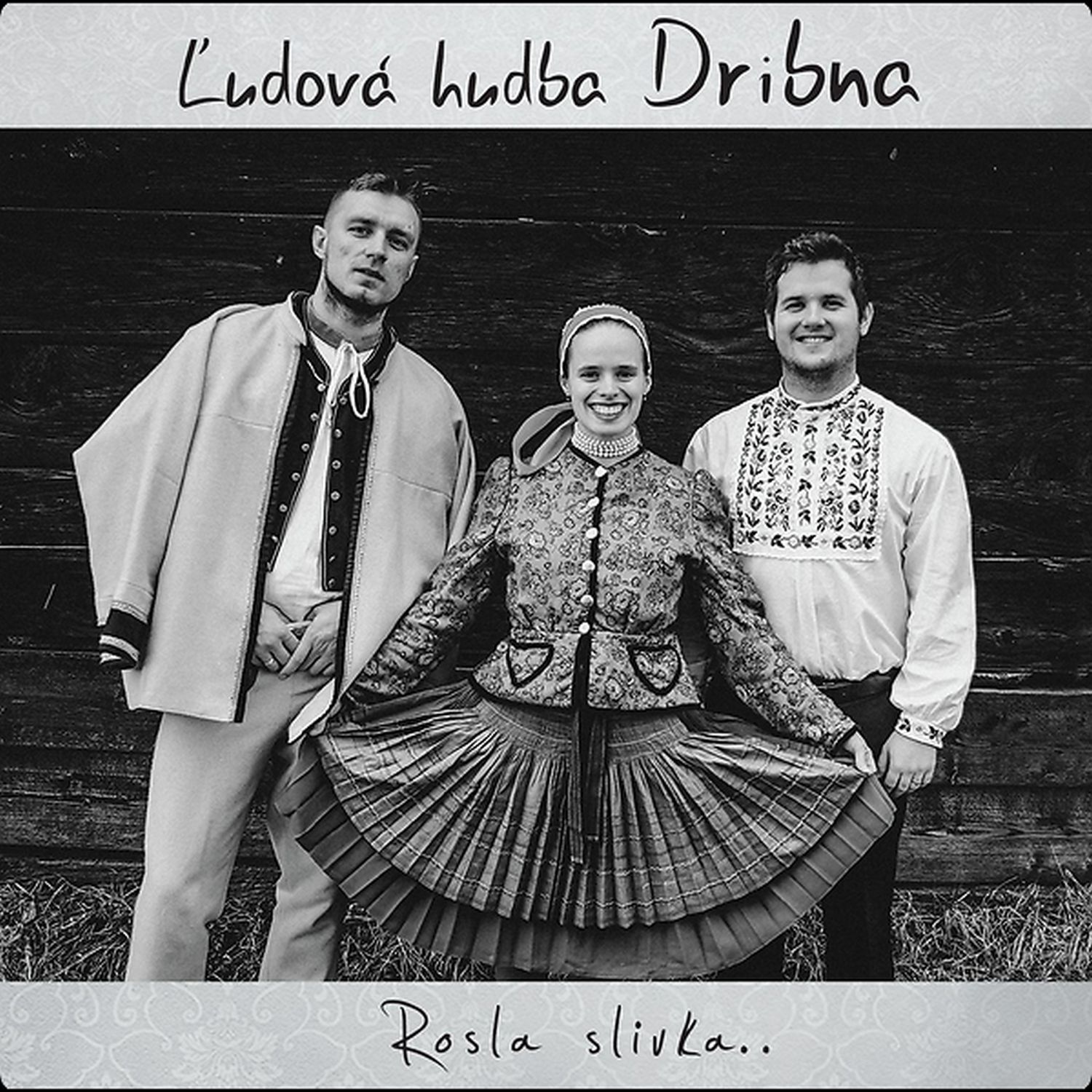 CD Shop - LUDOVA HUDBA DRIBNA ROSLA SLIVKA..