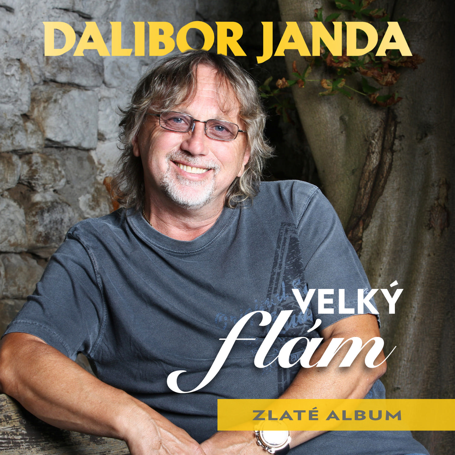 CD Shop - JANDA DALIBOR VELKY FLAM / ZLATE ALBUM