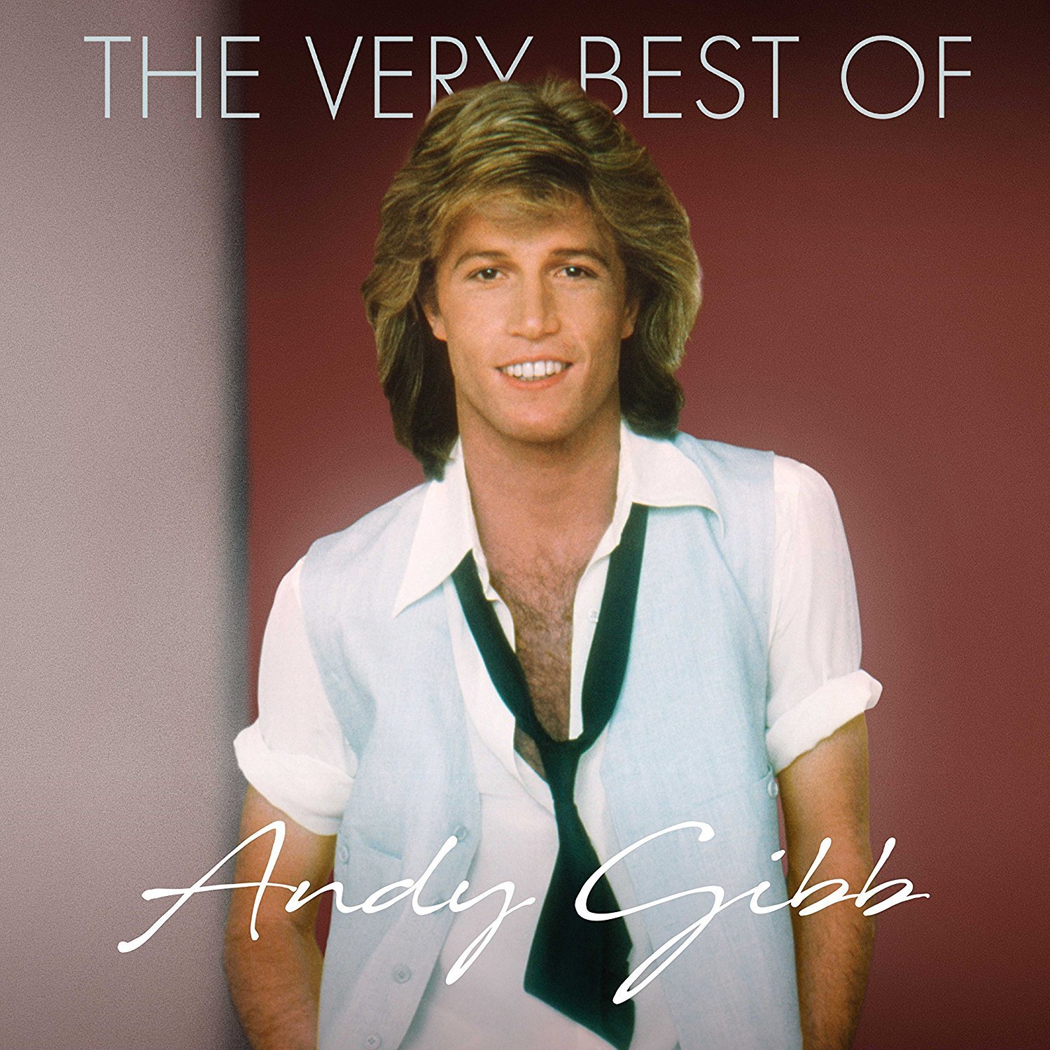CD Shop - GIBB, ANDY THE VERY BEST OF