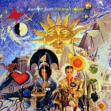 CD Shop - TEARS FOR FEARS THE SEEDS OF LOVE