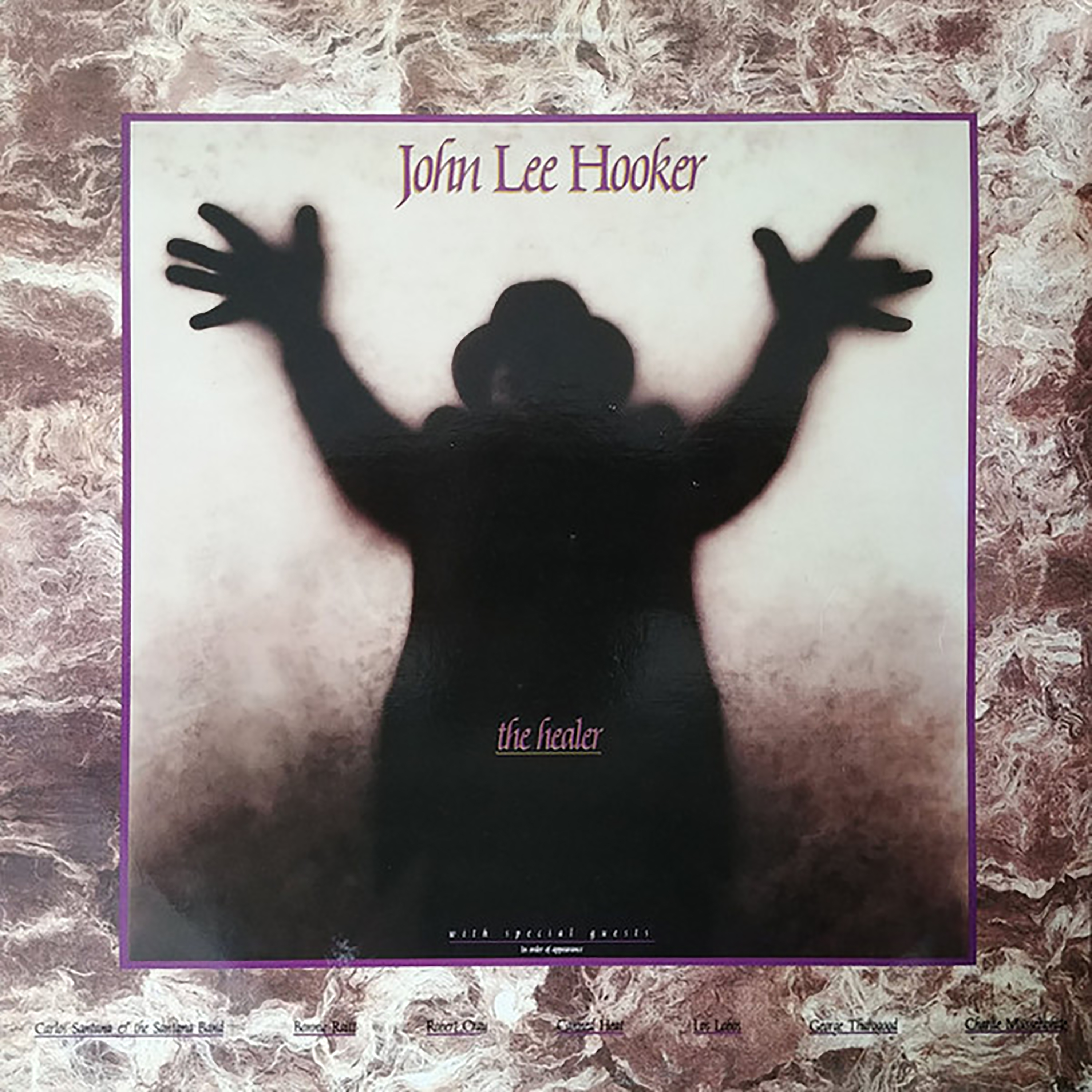 CD Shop - HOOKER JOHN LEE The Healer