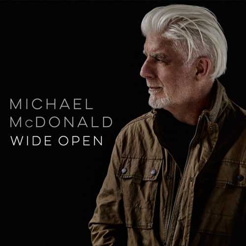 CD Shop - MCDONALD, MICHAEL WIDE OPEN (2-LP)