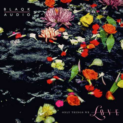 CD Shop - BLAQK AUDIO ONLY THINGS WE LOVE