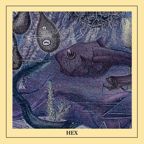 CD Shop - HEX HEX